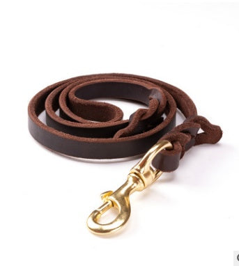 Leather leashes