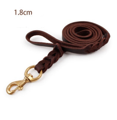 Leather leashes