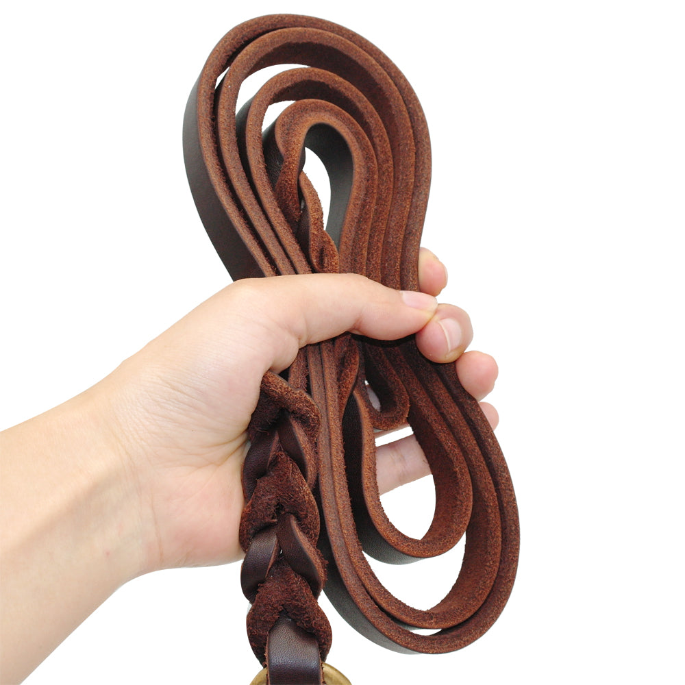 Leather leashes