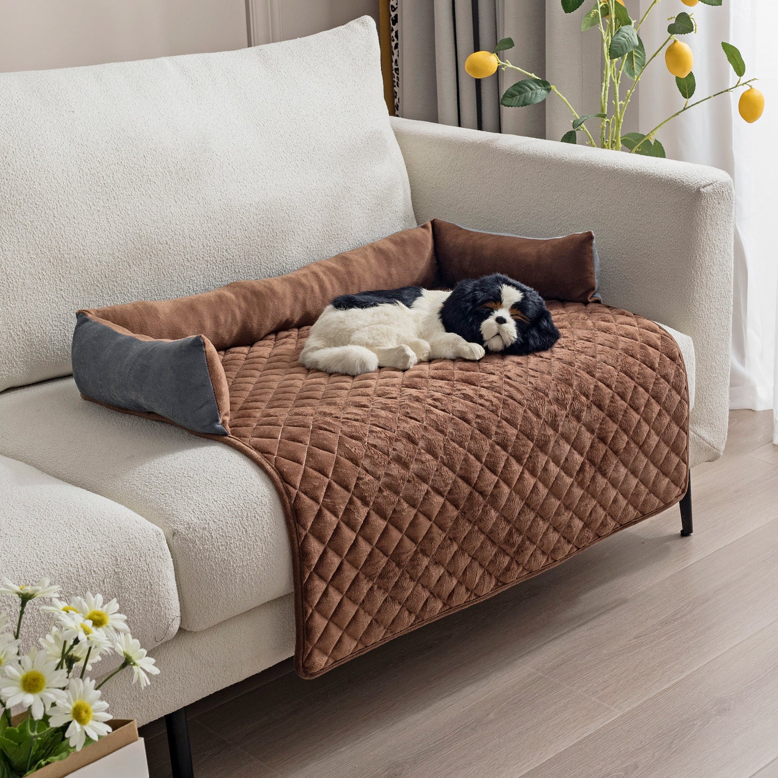 Pet Sofa Bed