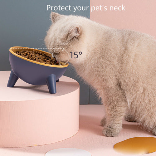 Bowl With Stand