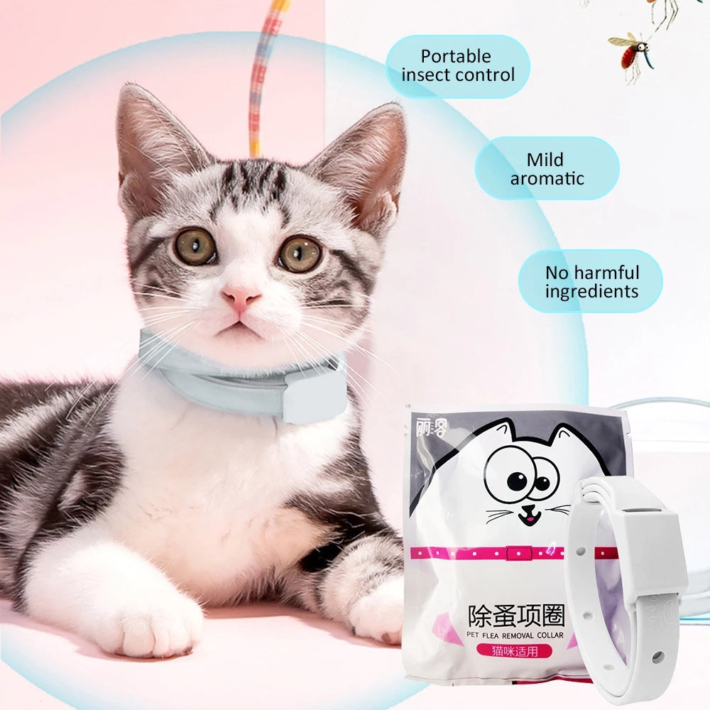 Flea Collar