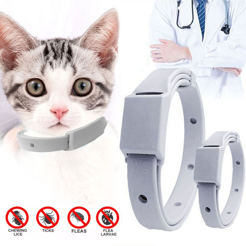 Flea Collar