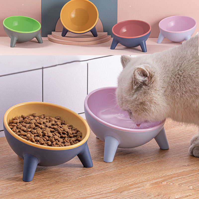 Bowl With Stand