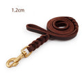 Leather leashes