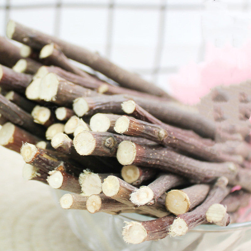 Dried  Branches Treats