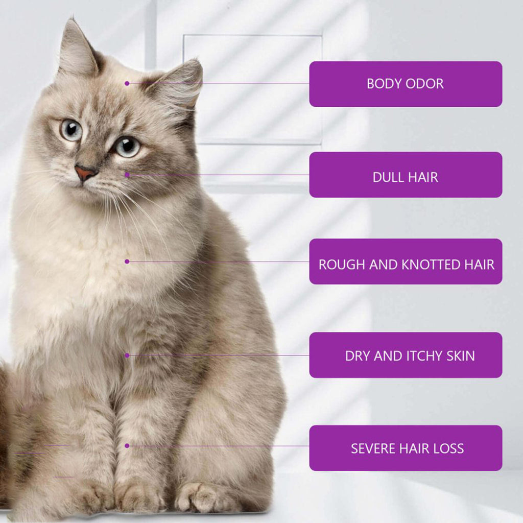 Pet Shampoo
